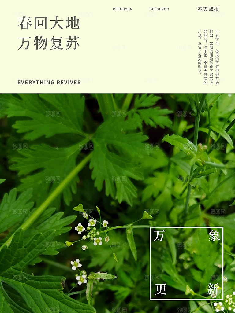 春回大地万物复苏