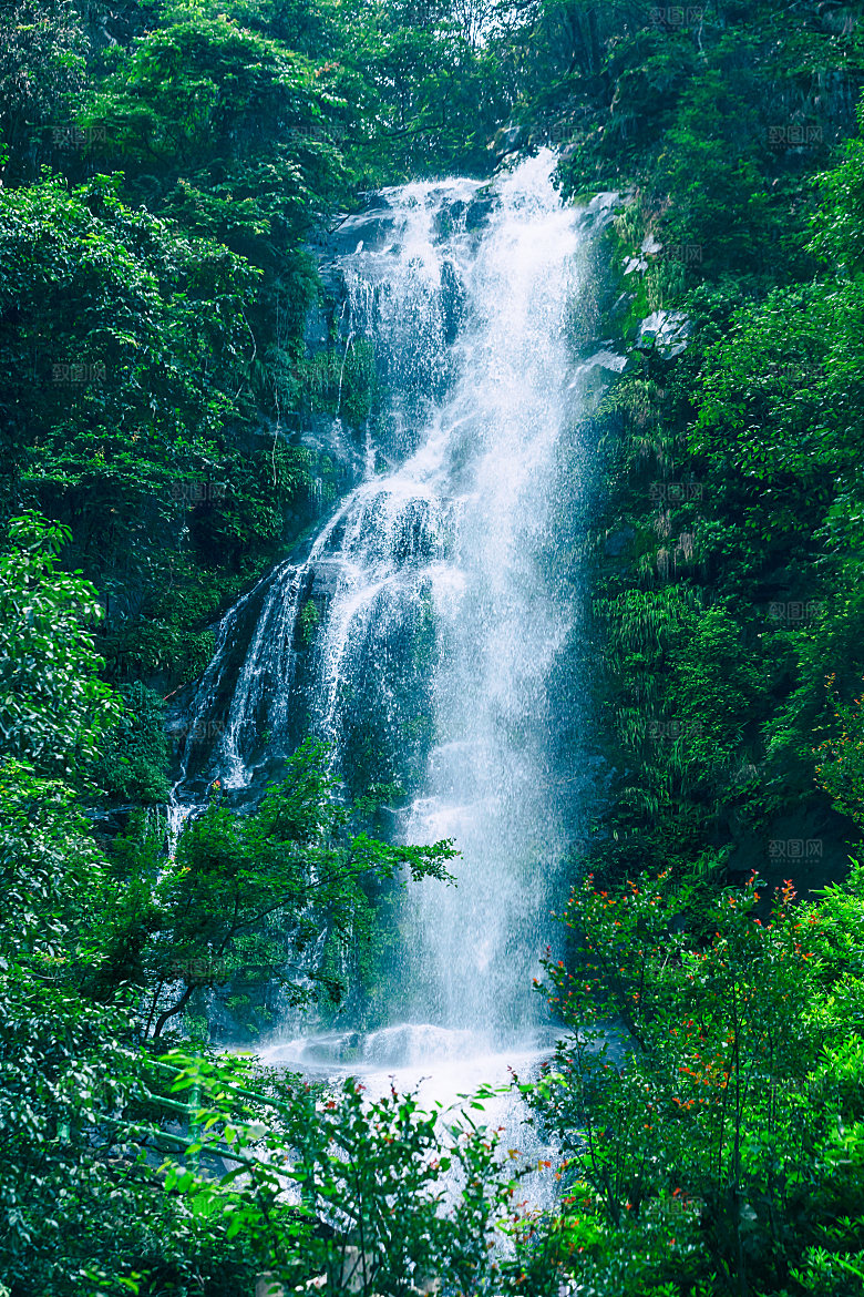 森林山脉瀑布水流