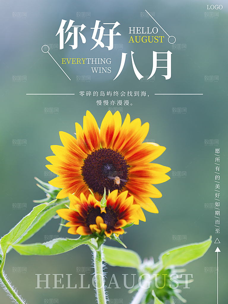 你好八月宣传海报