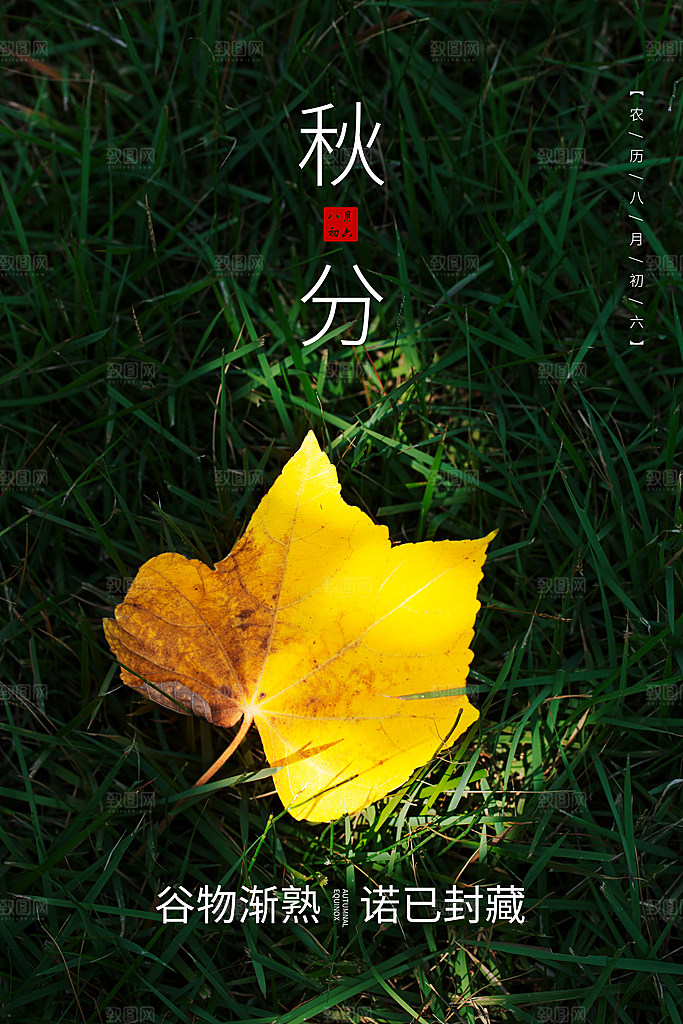 传统节气秋分海报模版