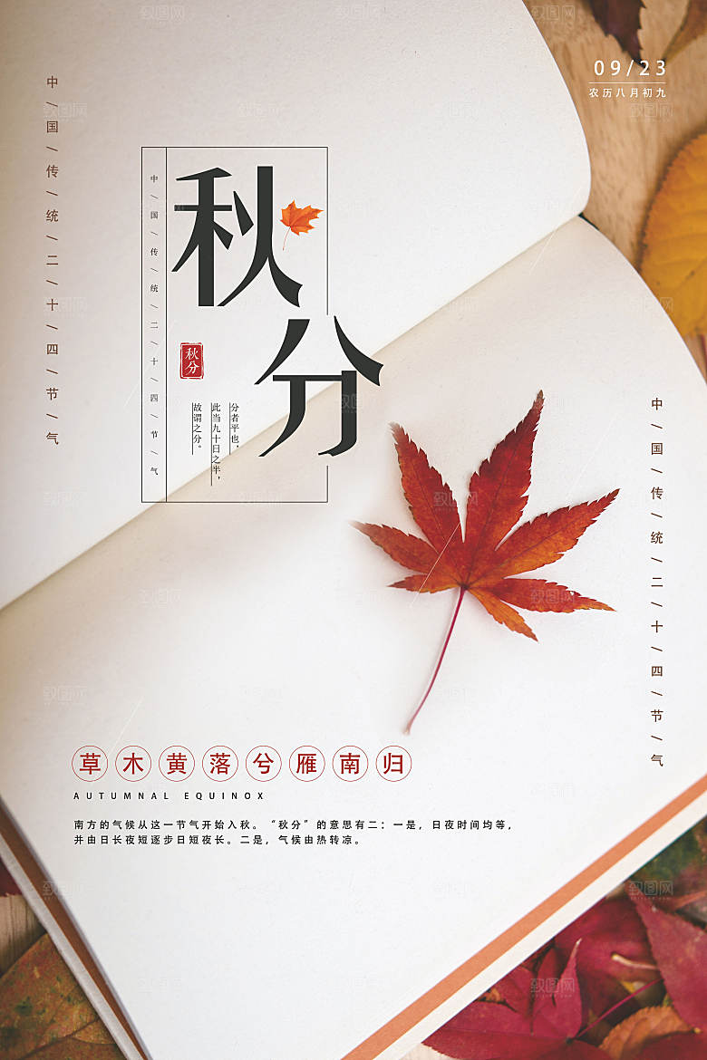 秋分节气简约大气海报