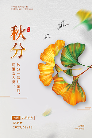 秋分节气简约大气海报