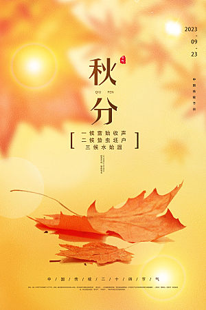 秋分节气简约大气海报