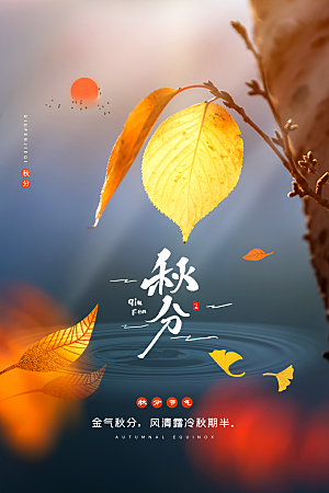秋分节气简约大气海报