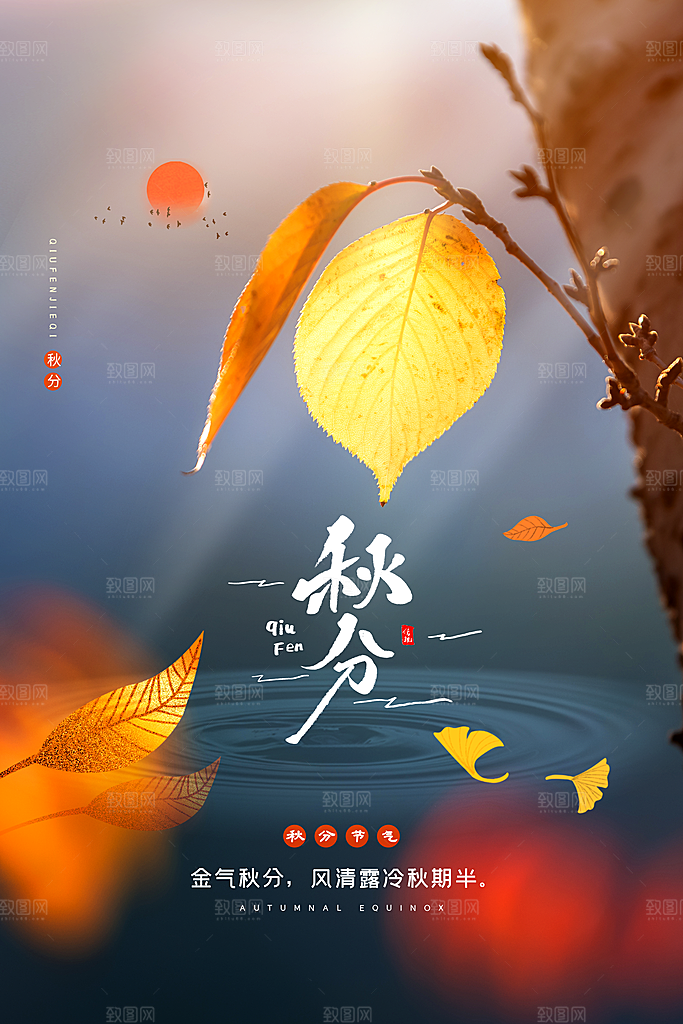 秋分节气简约大气海报