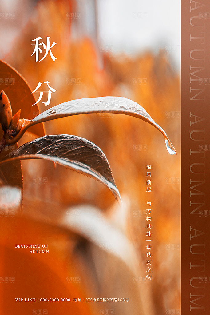 秋分节气简约大气海报
