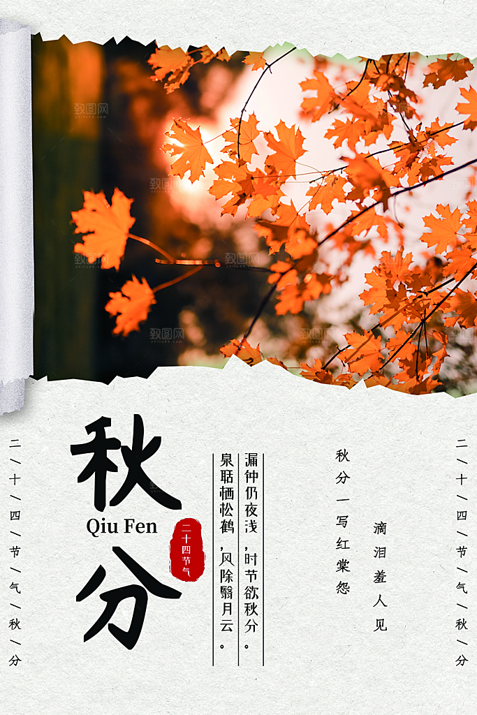 传统节气秋分海报模板