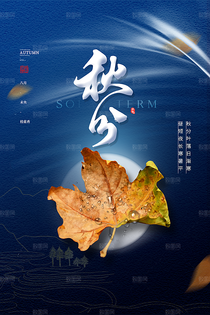 传统节气秋分海报模板