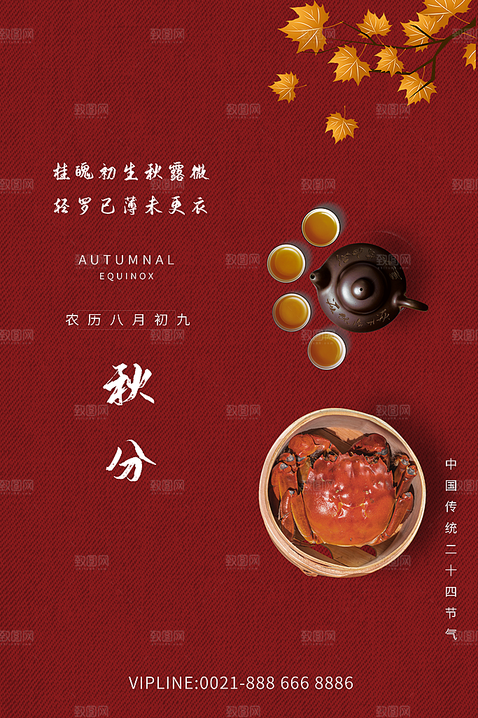 秋分节气简约大气海报