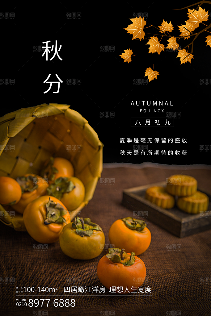 秋分节气简约大气海报