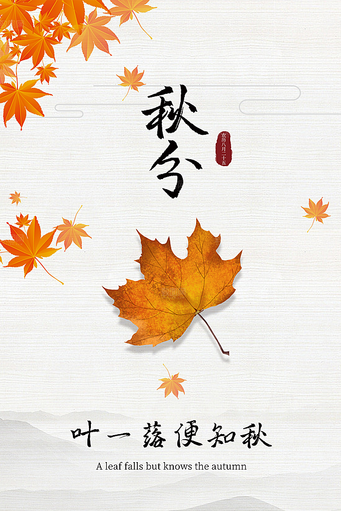 秋分节气简约大气海报