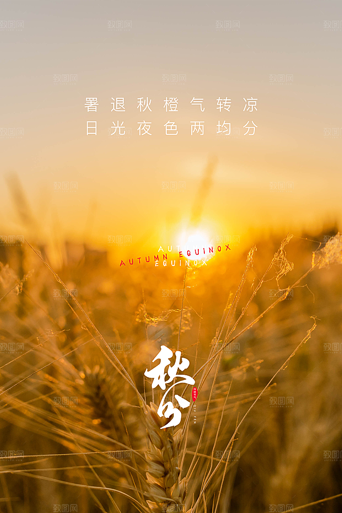 传统节气秋分海报模板
