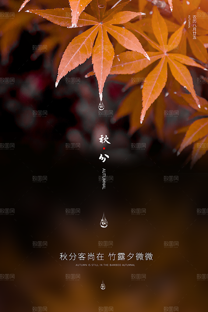 传统节气秋分海报模板