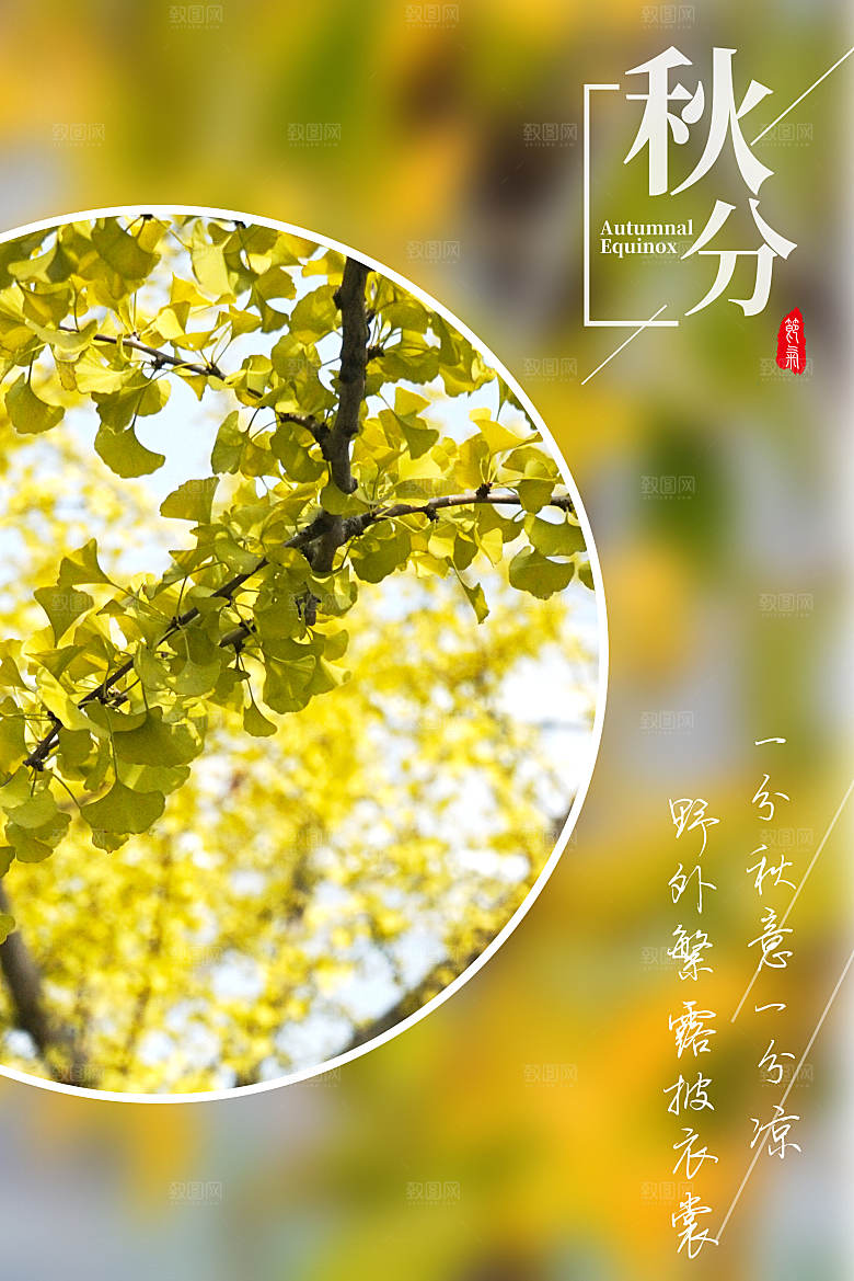 传统节气秋分海报模板