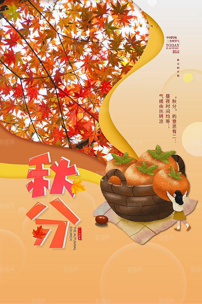 秋分节气简约大气海报