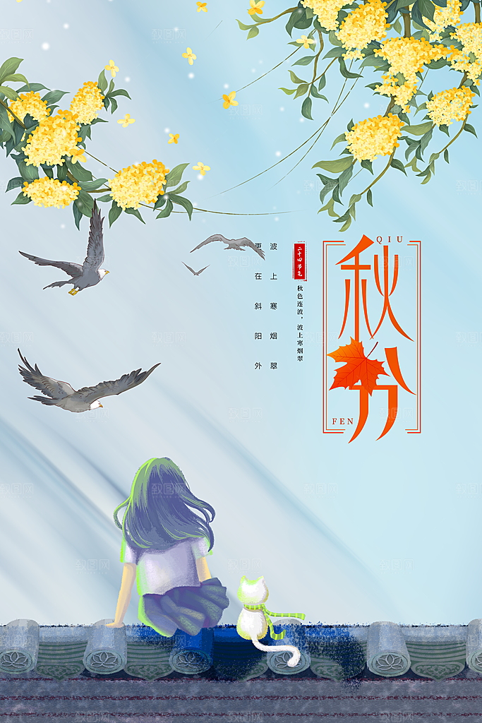 传统节气秋分海报模板