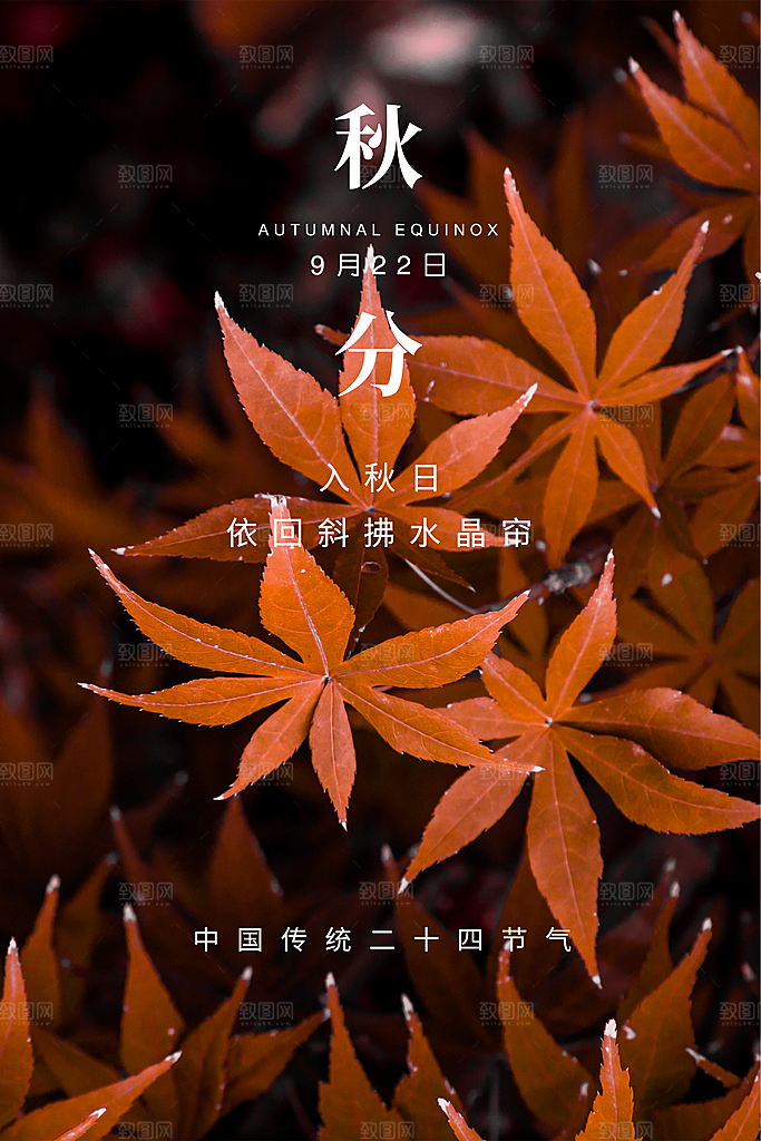 传统节气秋分海报模板