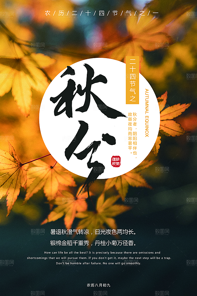 秋分节气简约大气海报