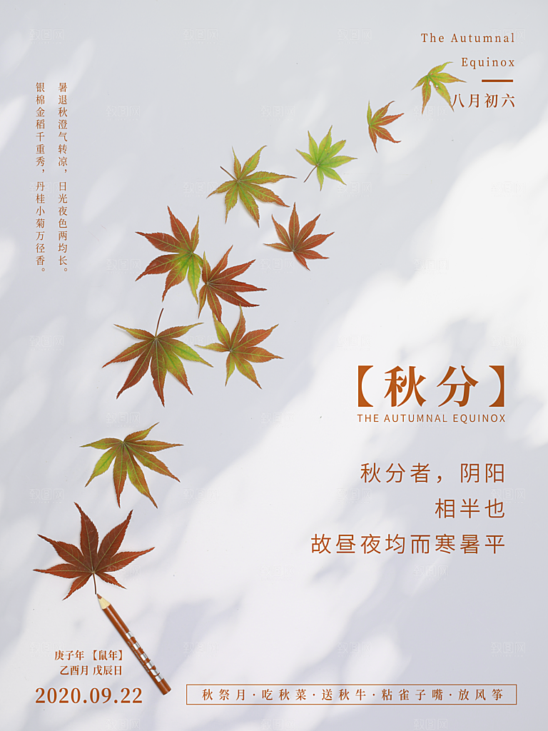 传统节气秋分海报模板
