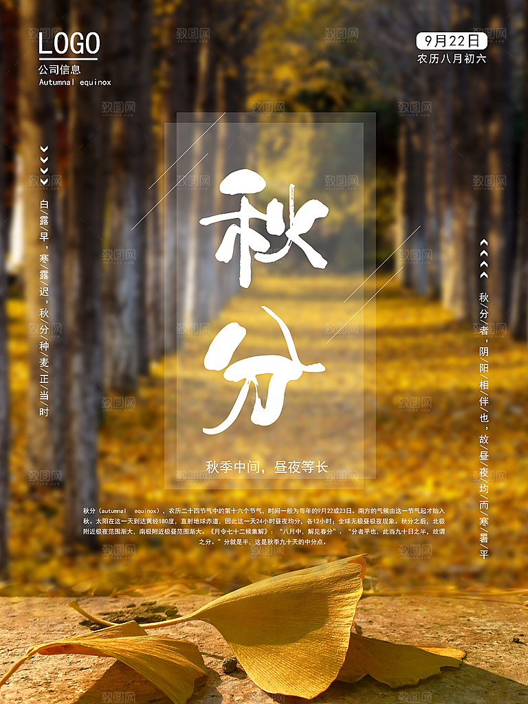 秋分节气简约大气海报