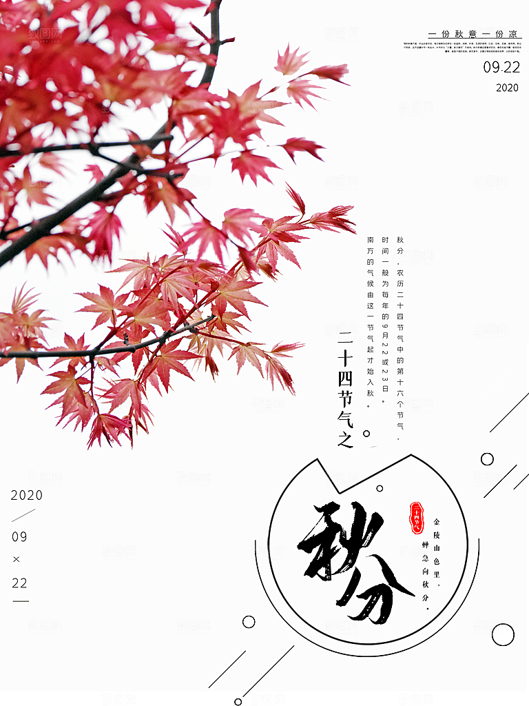 秋分节气简约大气海报