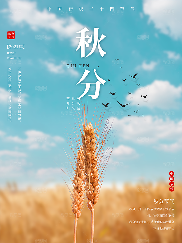 传统节气秋分海报模板