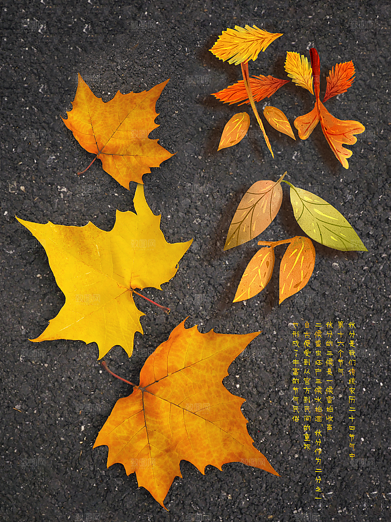 传统节气秋分海报模板