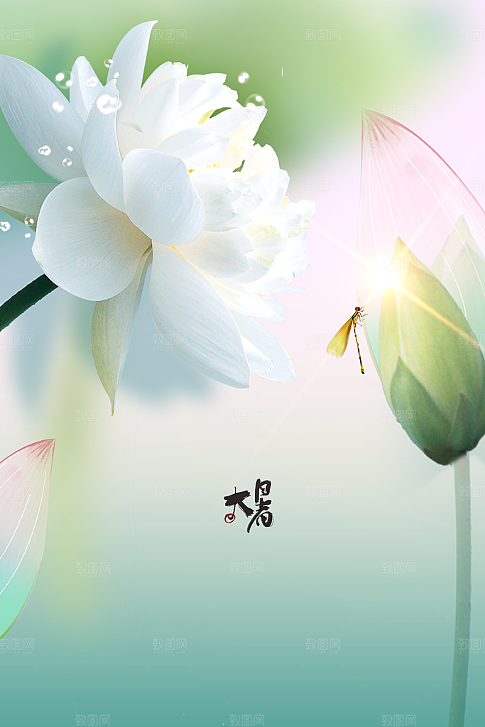 大暑节气传统海报