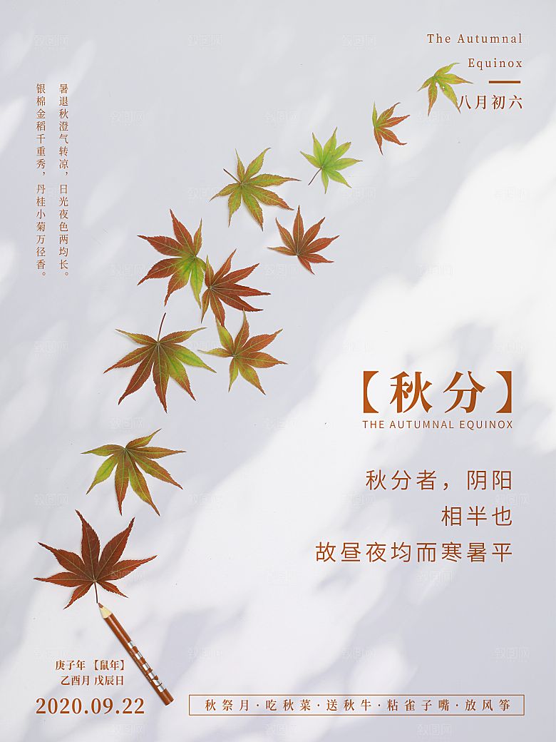 传统节气秋分海报模板