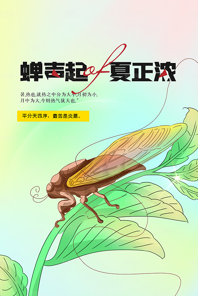 夏至节气传统海报