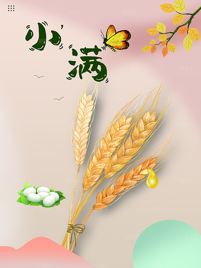 传统二十四节气小满