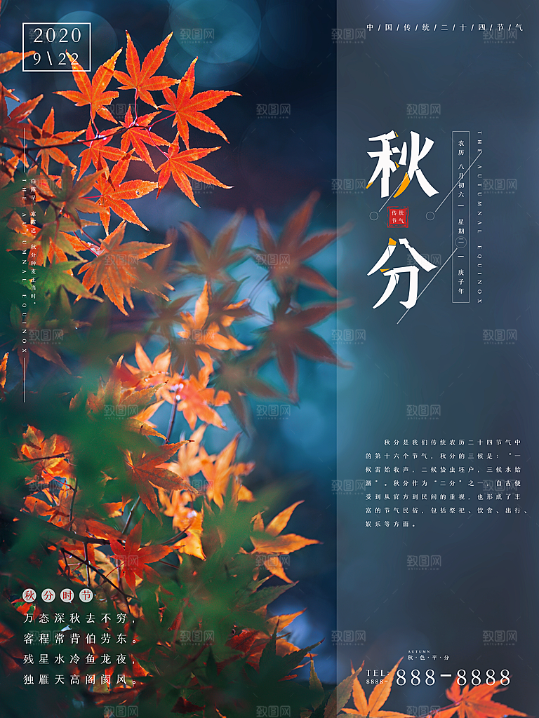 秋分节气简约大气海报