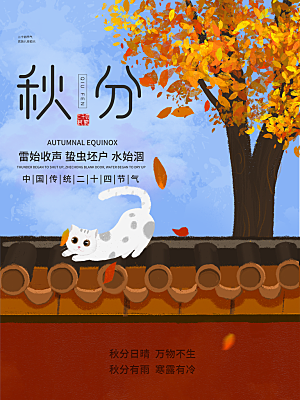 秋分节气简约大气海报