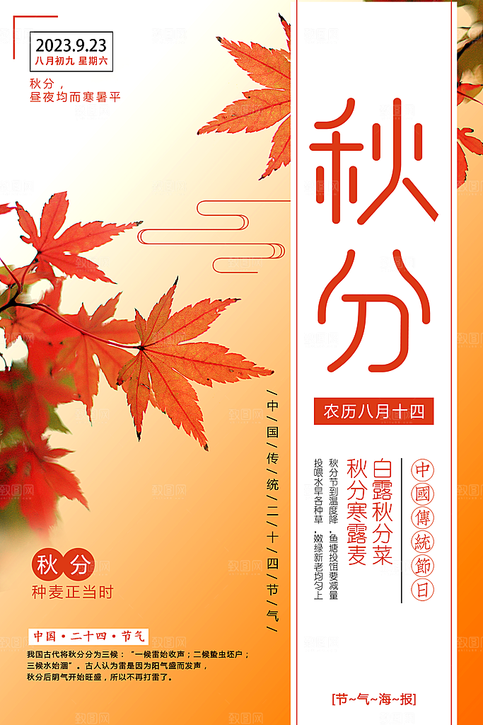传统节气秋分海报模板
