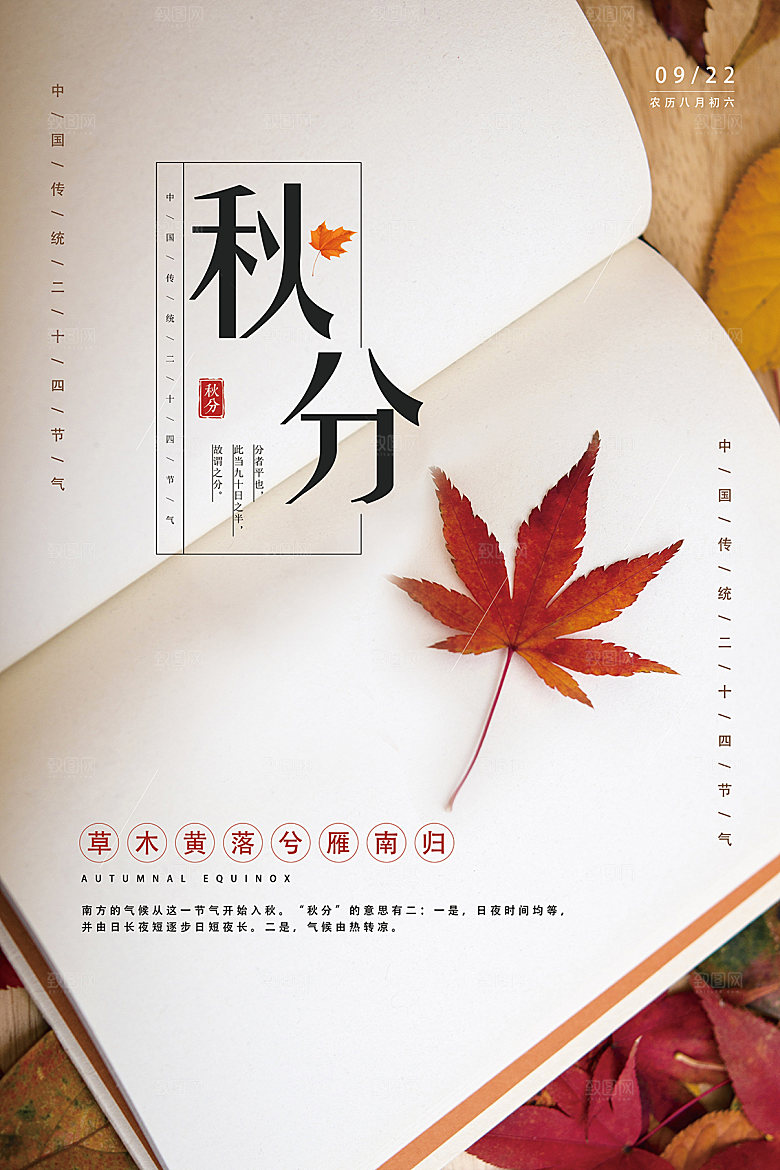 传统节气秋分海报模板