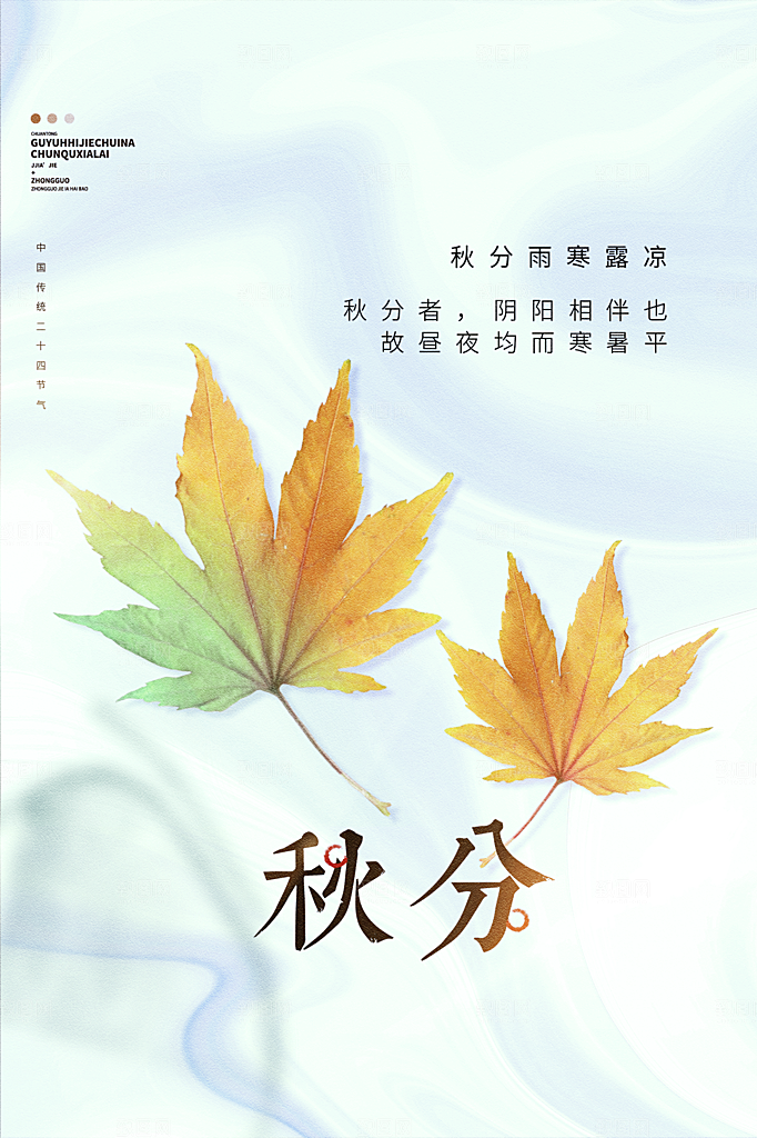 秋分节气简约大气海报