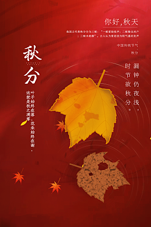 秋分节气简约大气海报