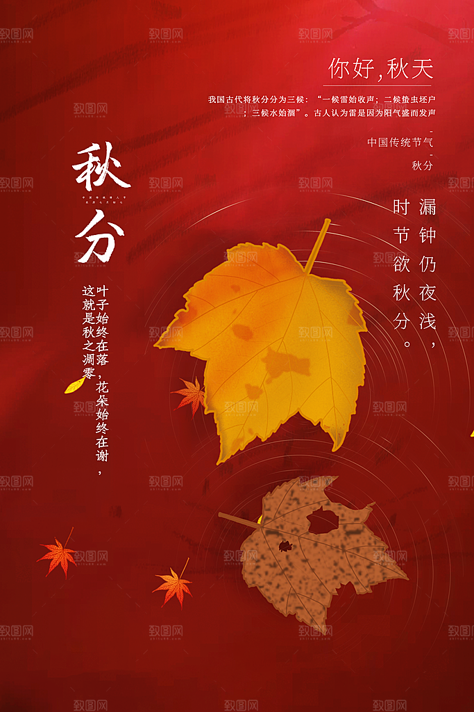 秋分节气简约大气海报