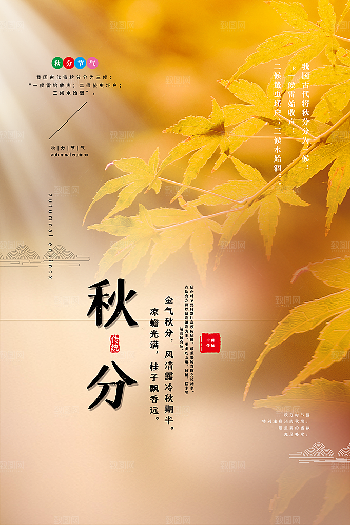 秋分节气简约大气海报