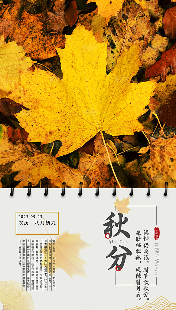 传统节气秋分海报模板
