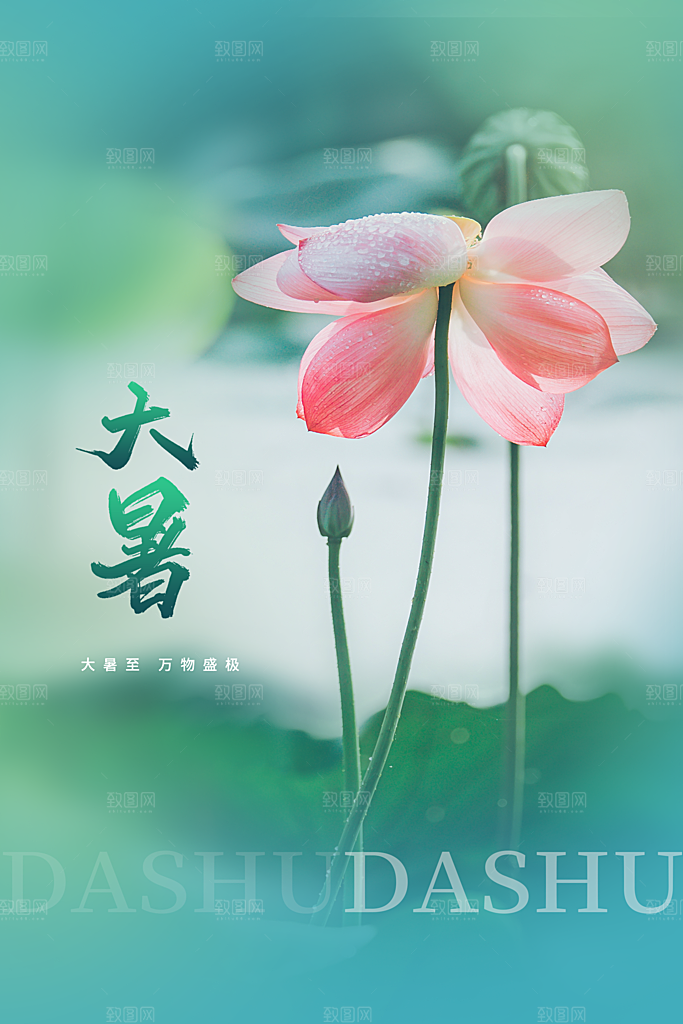 大暑节气传统海报