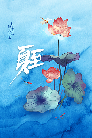夏至节气传统海报