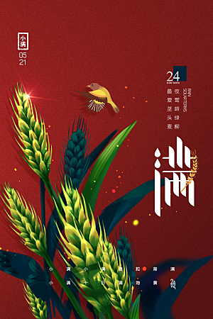 小满节气简约大气海报