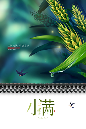 小满节气简约大气海报