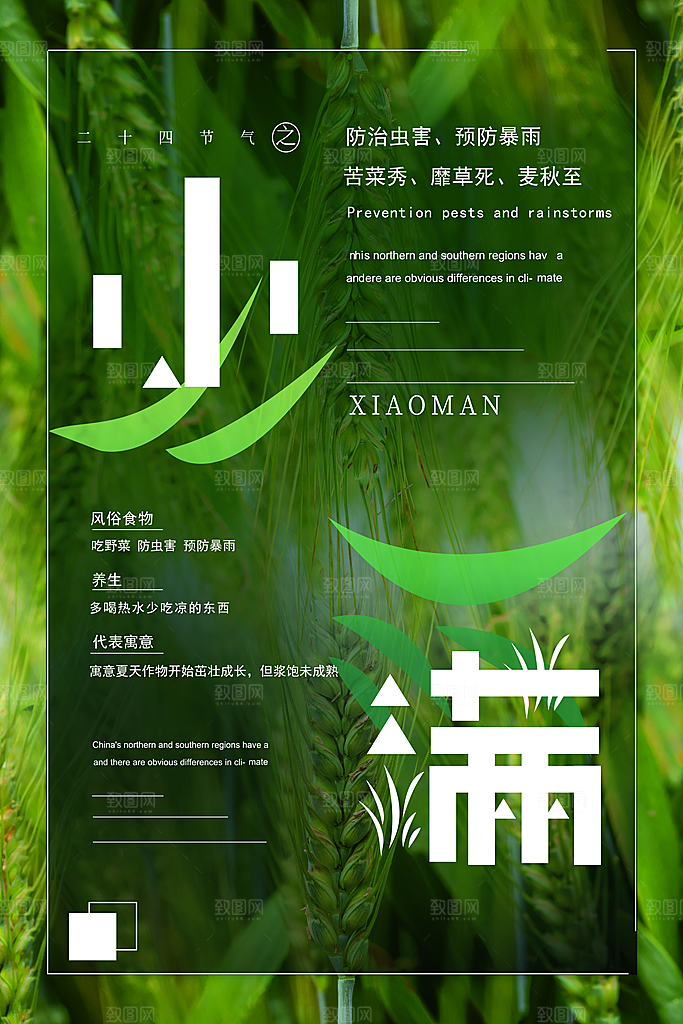 传统节气小满海报模版