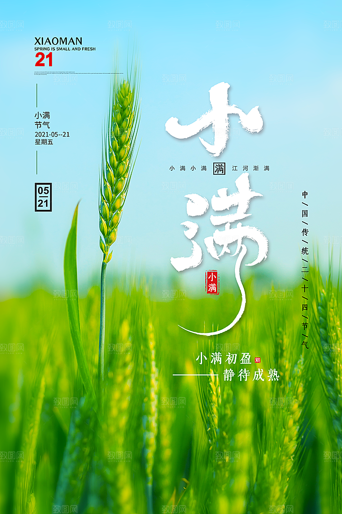 传统节气小满海报模版