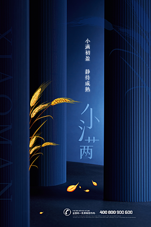 传统节气小满海报模版