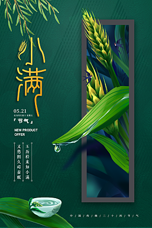 传统节气小满海报模版