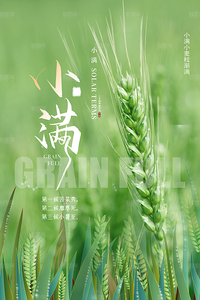小满节气简约大气海报