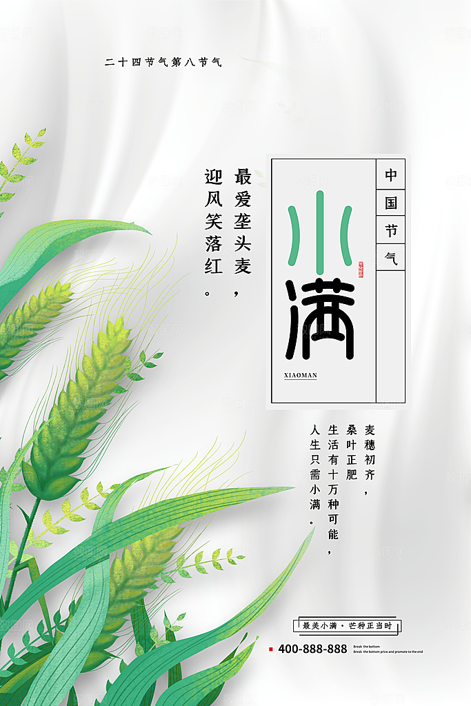 小满节气简约大气海报